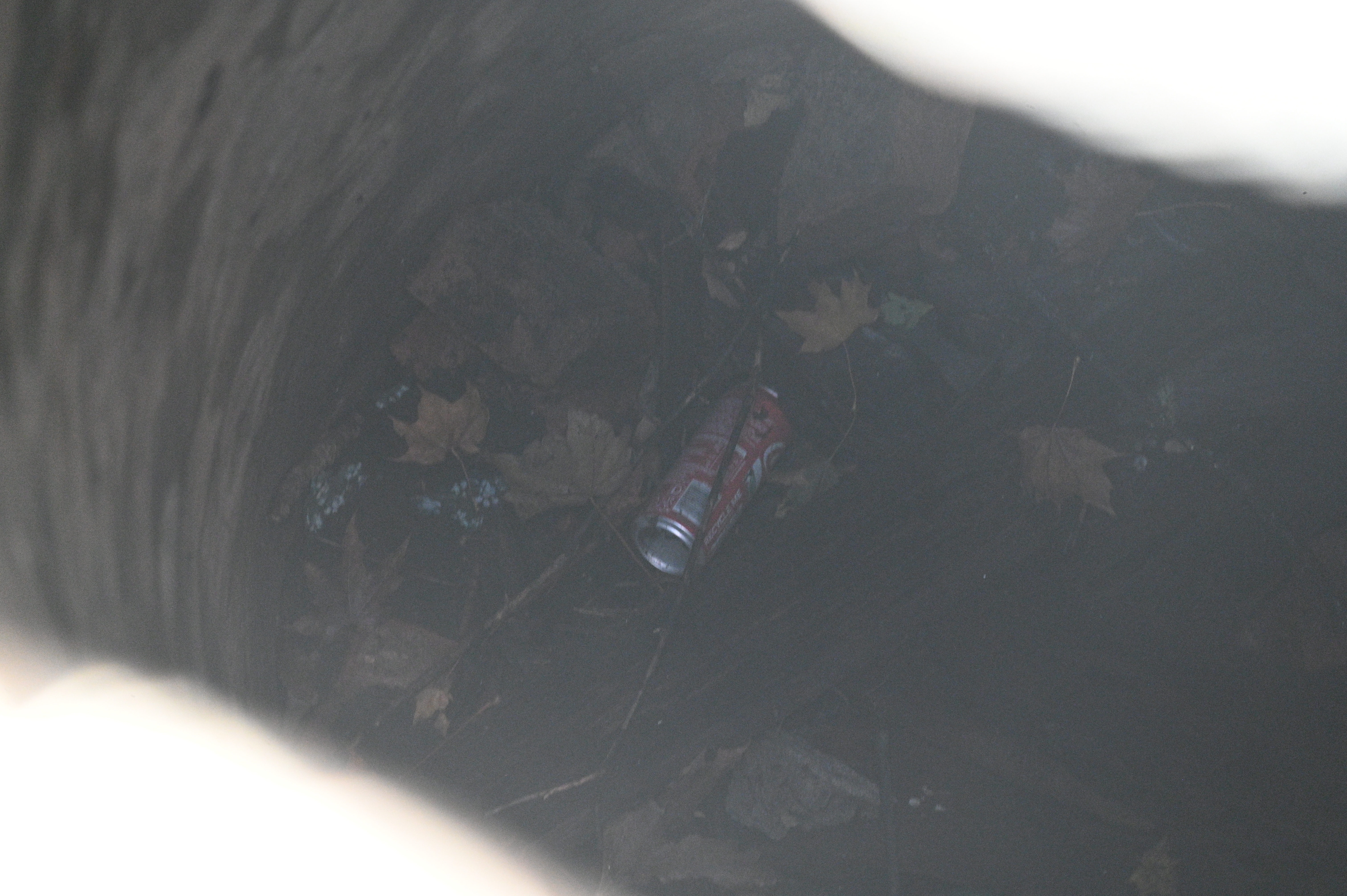 2025/10/18 - walk/DSC_0035.JPG